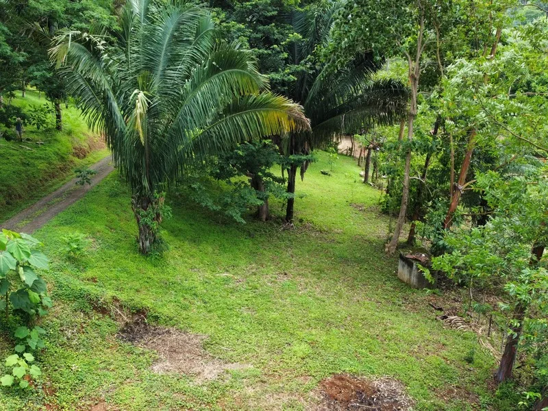 Land For Sale in Playa Carrillo