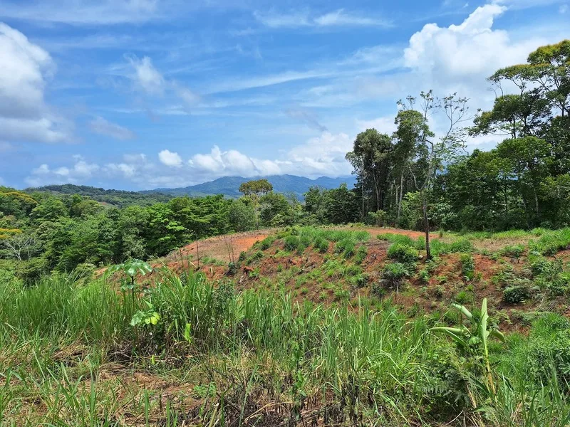 Land For Sale in Perez Zeledon — photo 2