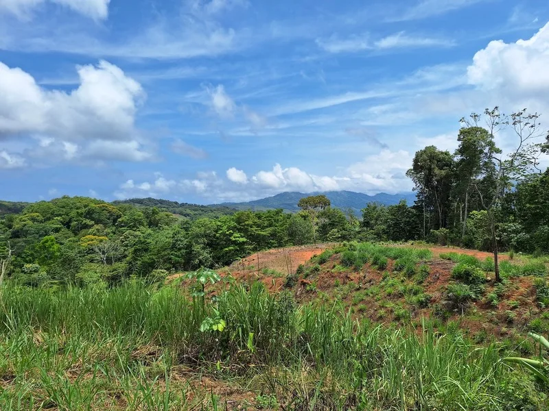 Land For Sale in Perez Zeledon — photo 3