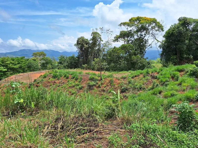 Land For Sale in Perez Zeledon — photo 4