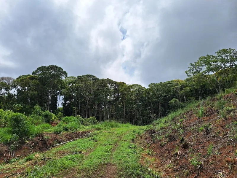Land For Sale in Perez Zeledon — photo 5