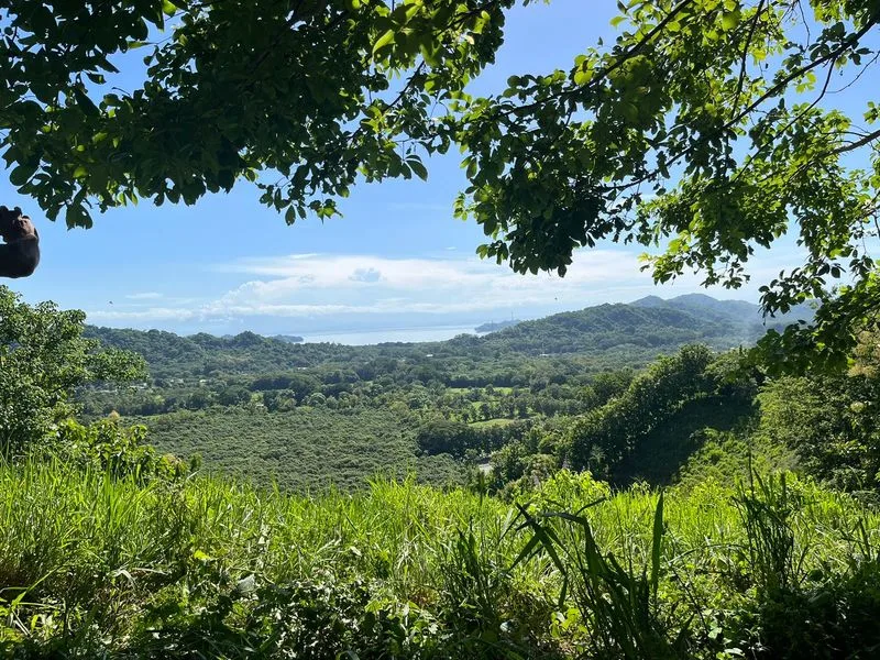 Land For Sale in Paquera