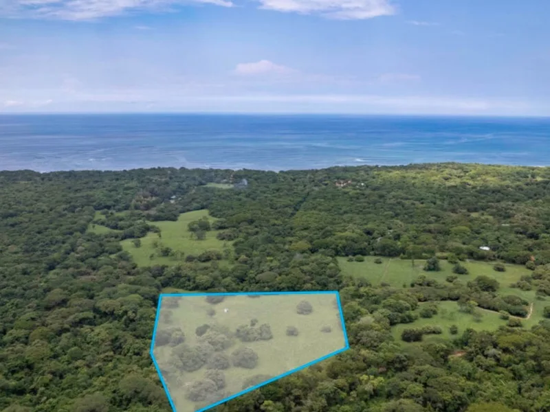 Land For Sale in Avellanas