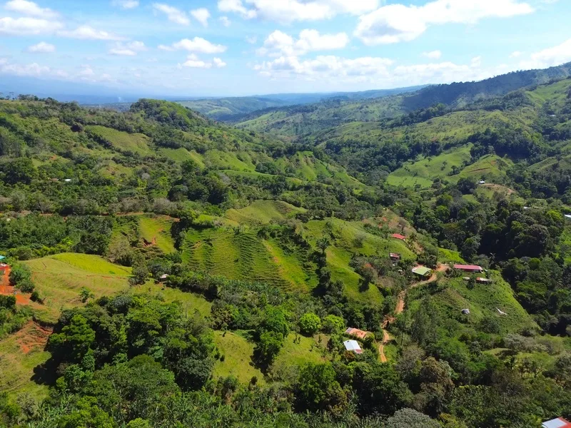 Land For Sale in Perez Zeledon