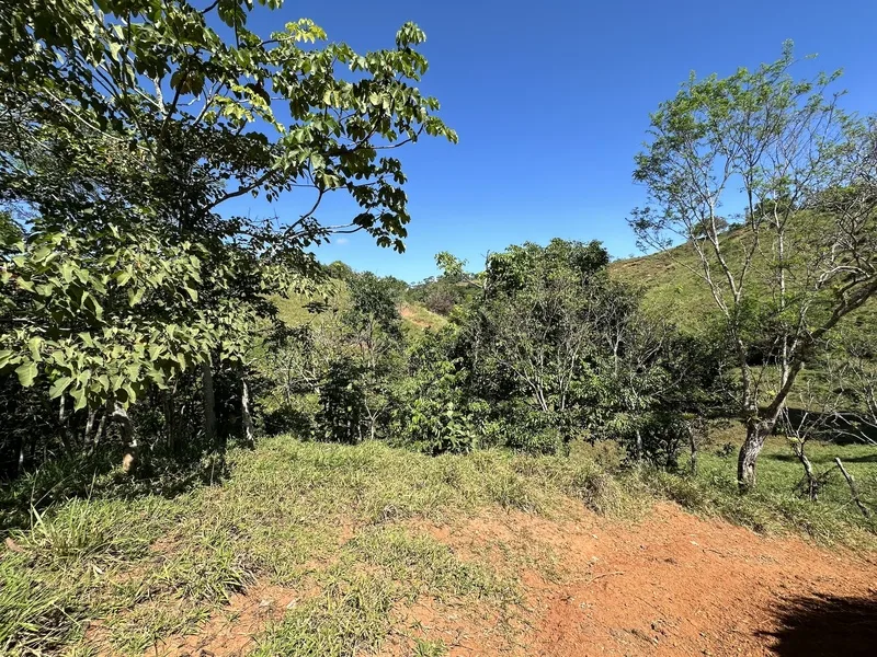 Land For Sale in Perez Zeledon — photo 2