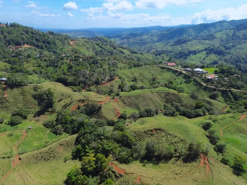 Land For Sale in Perez Zeledon — photo 3