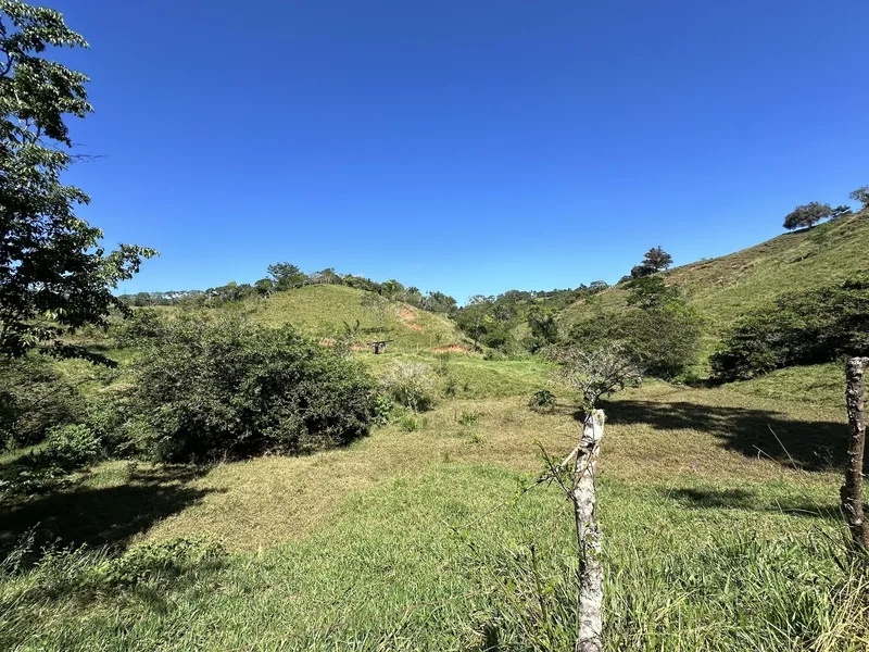 Land For Sale in Perez Zeledon — photo 4