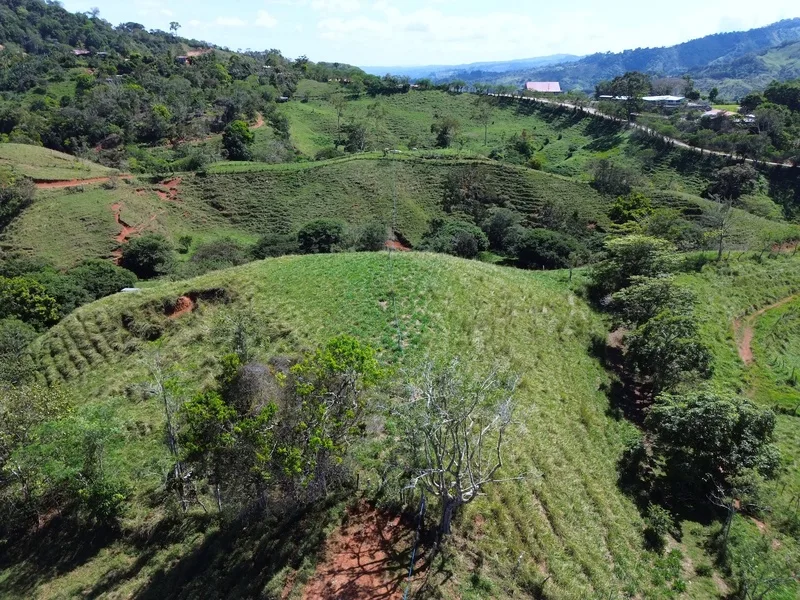 Land For Sale in Perez Zeledon — photo 5