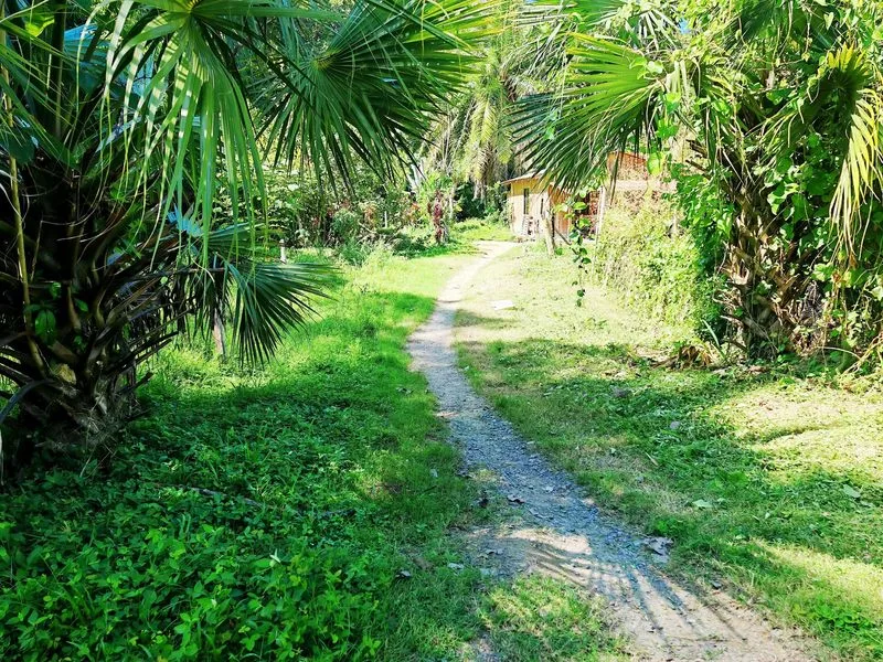 Land For Sale in Paquera