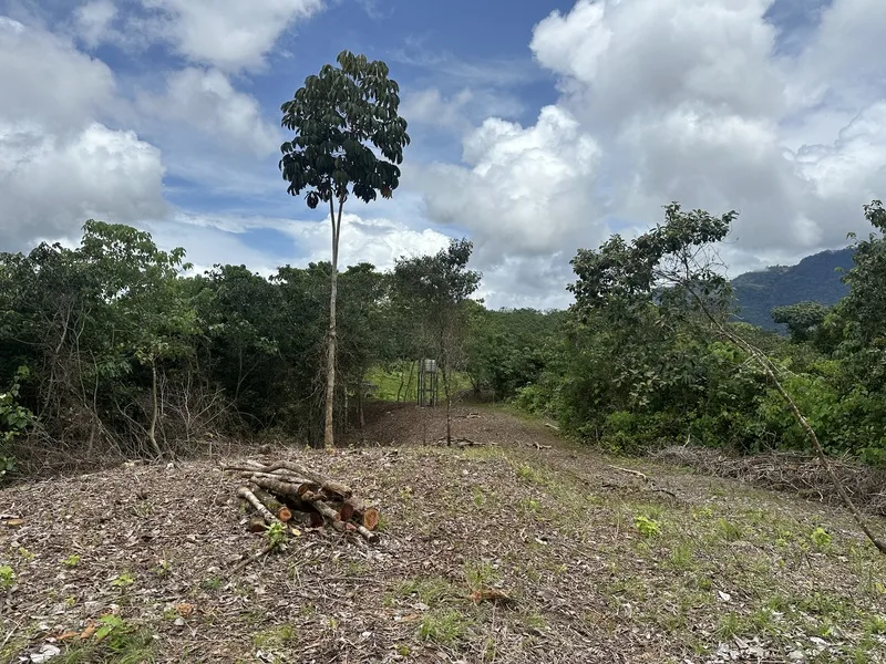 Land For Sale in Palmar