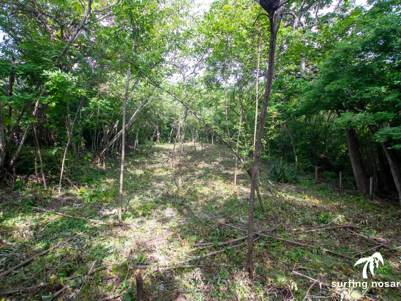 Land For Sale in Nosara