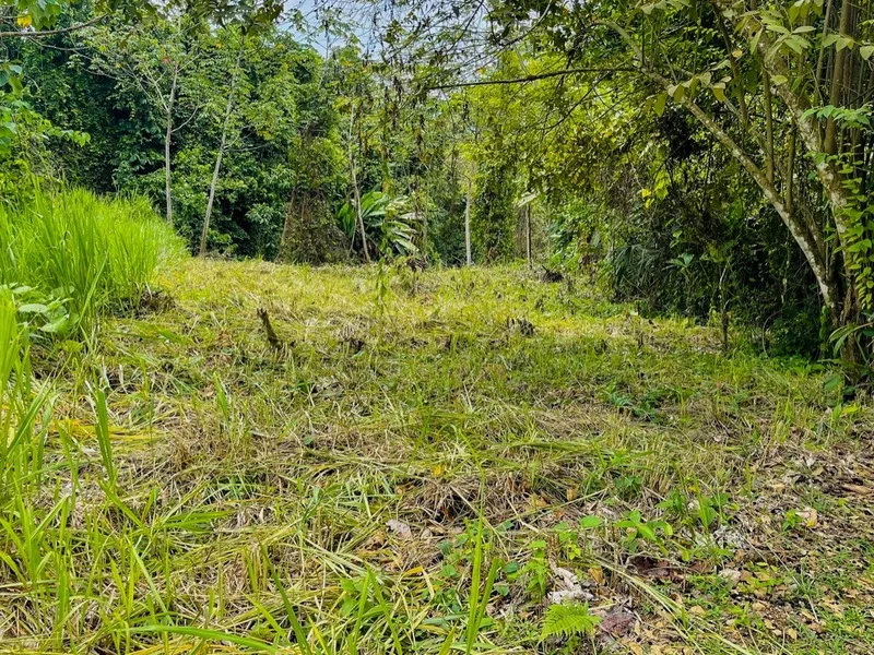 Land For Sale in Ojochal