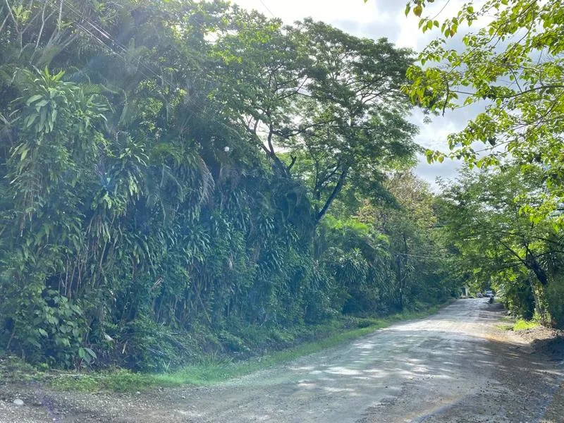 Land For Sale in Playa Hermosa Santa Teresa