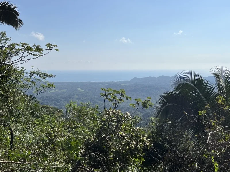 Land For Sale in Samara