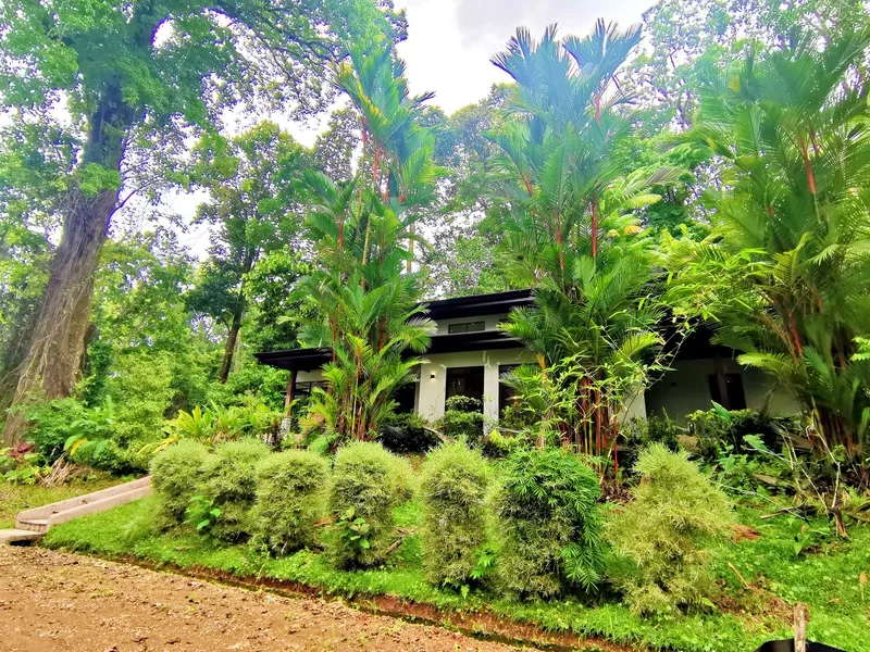 2 Bed Single Family Homes For Sale in Dominical