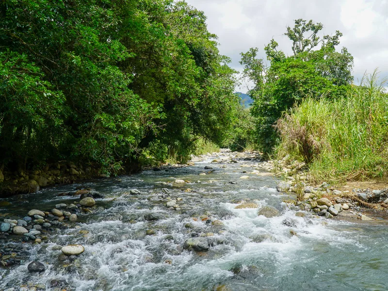 Land For Sale in Perez Zeledon — photo 4