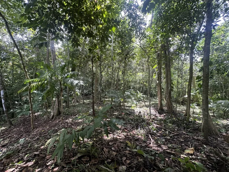Land For Sale in Palmar