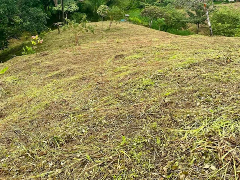Land For Sale in San Isidro de El General