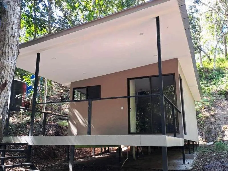 1 Bed Single Family Homes For Sale in Paquera