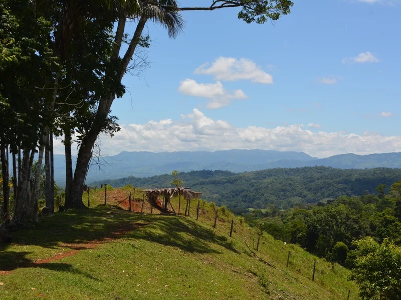 Land For Sale in Puerto Jimenez