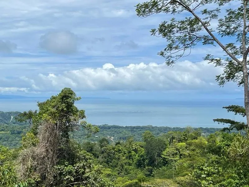 Land For Sale in Uvita