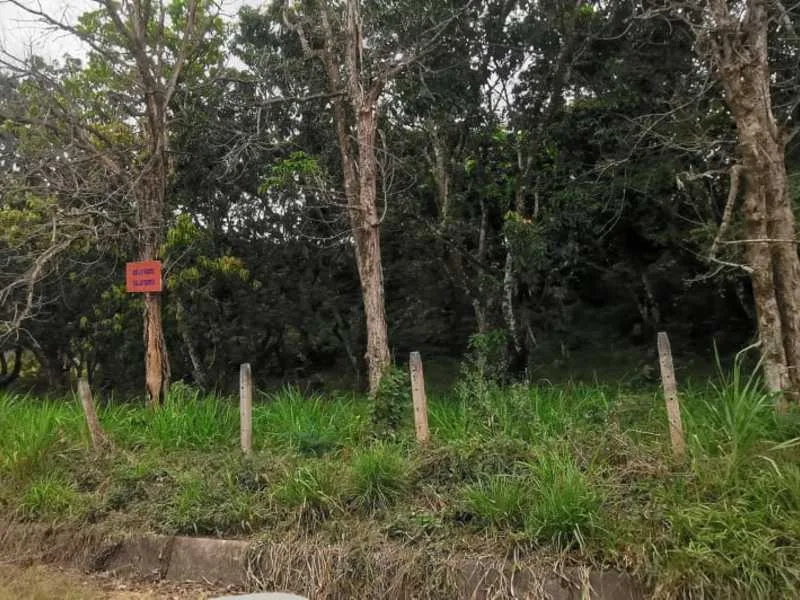 Land For Sale in La Garita