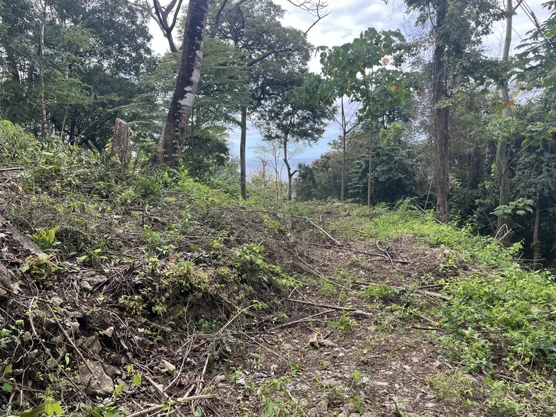 Land For Sale in Santa Teresa