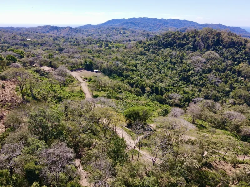 Land For Sale in Santa Teresa