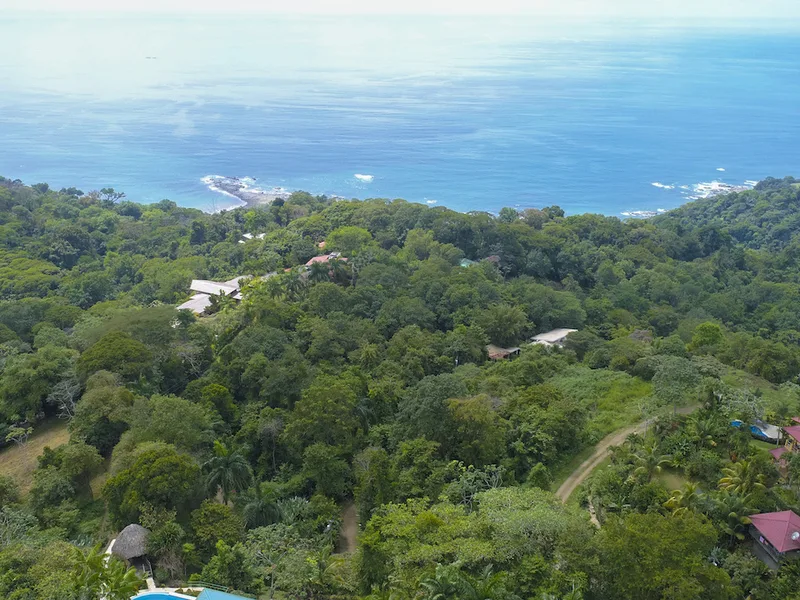 Land For Sale in Dominical