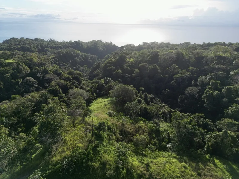 Land For Sale in Delicias