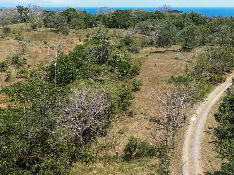 Land For Sale in Montezuma