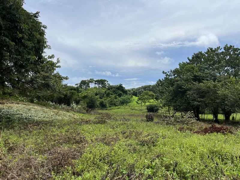 Land For Sale in Samara
