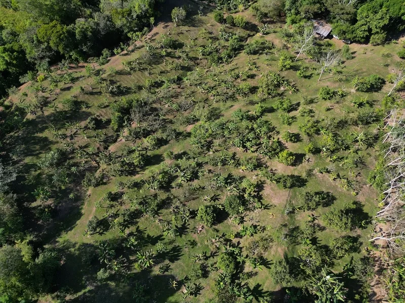 Land For Sale in Perez Zeledon
