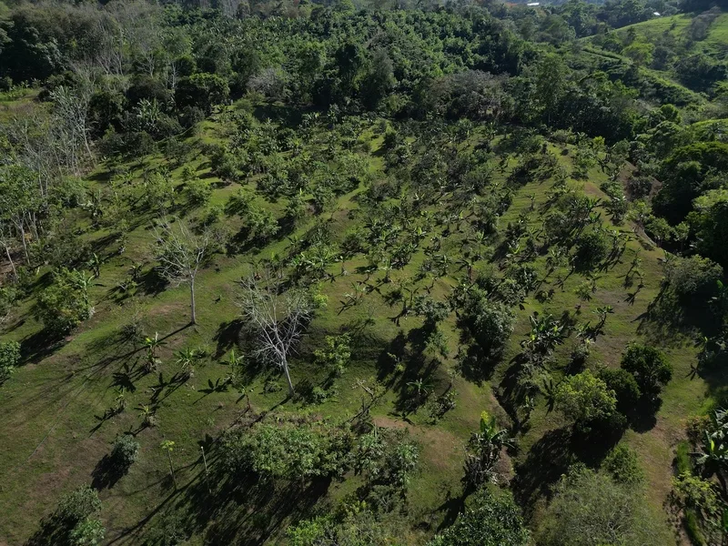 Land For Sale in Perez Zeledon — photo 2