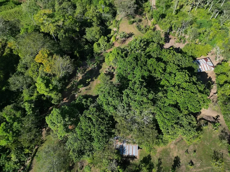Land For Sale in Perez Zeledon — photo 3