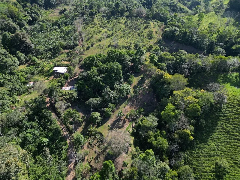Land For Sale in Perez Zeledon — photo 4