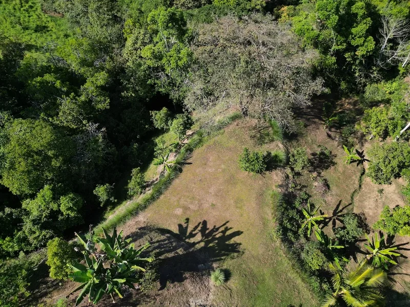 Land For Sale in Perez Zeledon — photo 5