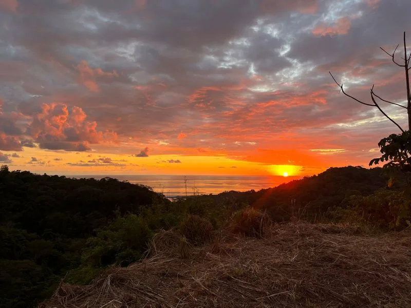Land For Sale in Dominical