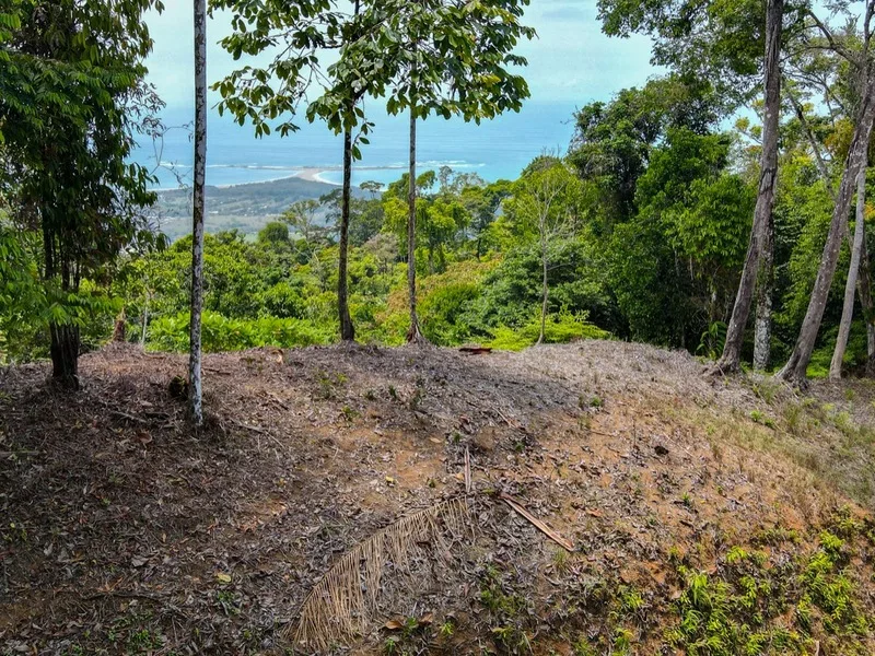Land For Sale in Uvita