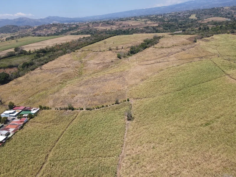 Land For Sale in Grecia