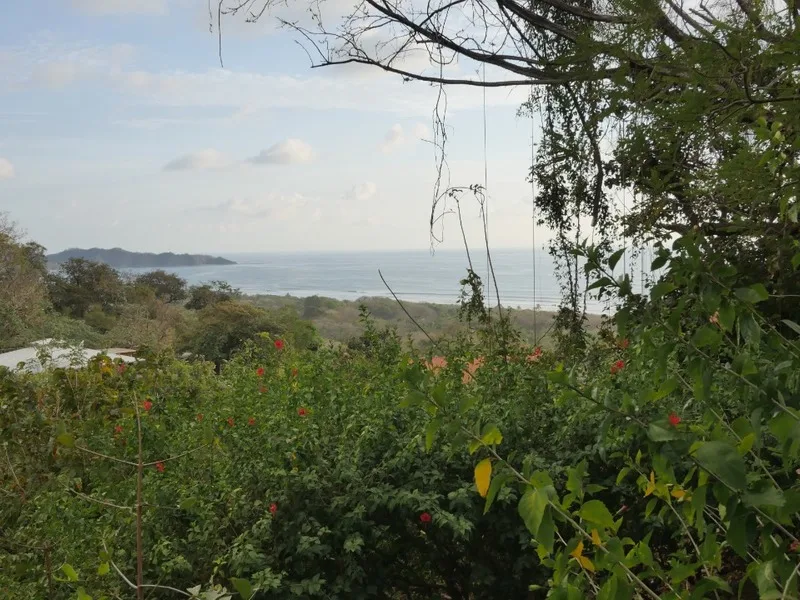 Land For Sale in Nosara