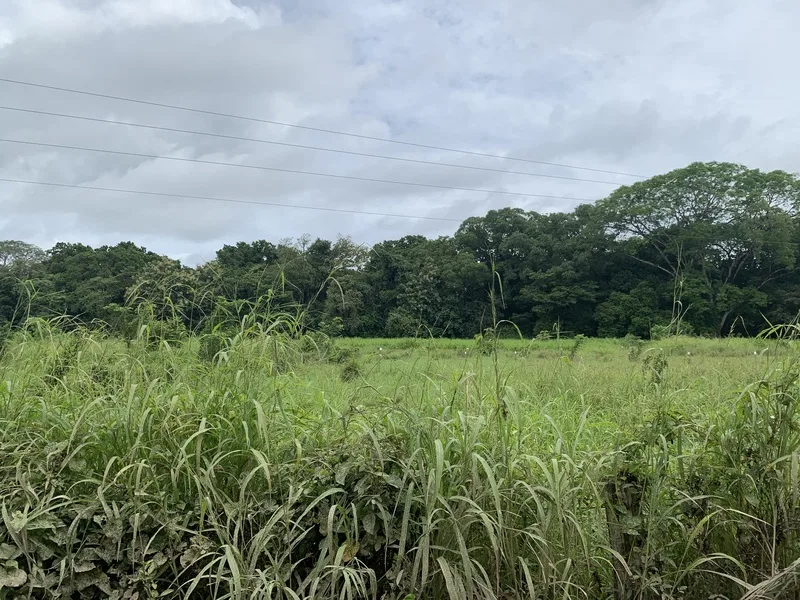 Land For Sale in San Jose De Pinilla