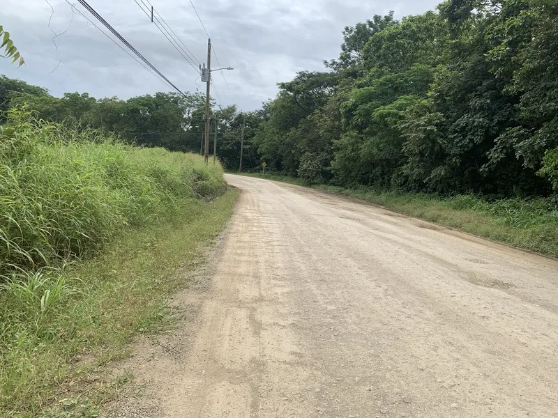 Land For Sale in San Jose De Pinilla — photo 3
