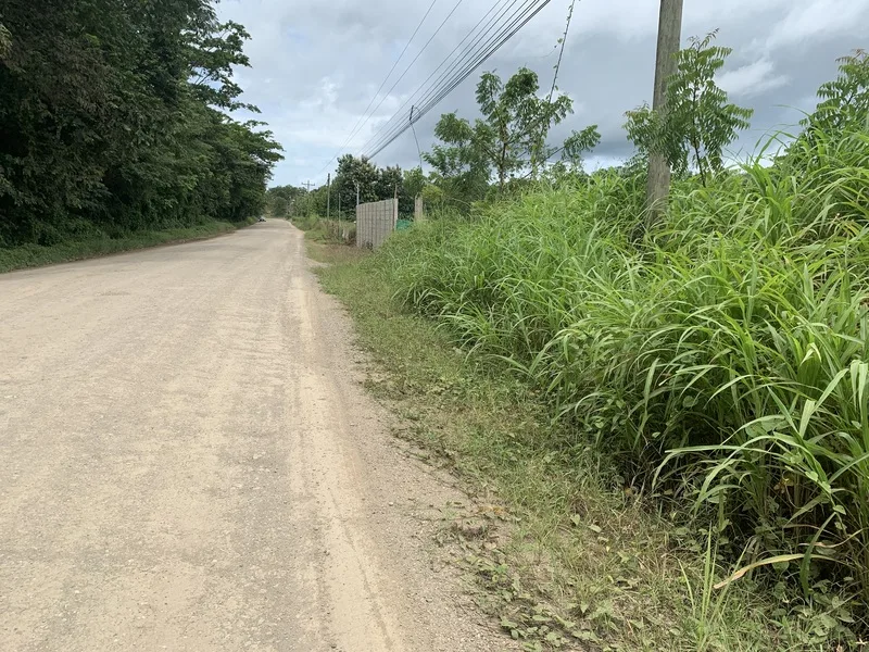 Land For Sale in San Jose De Pinilla — photo 4
