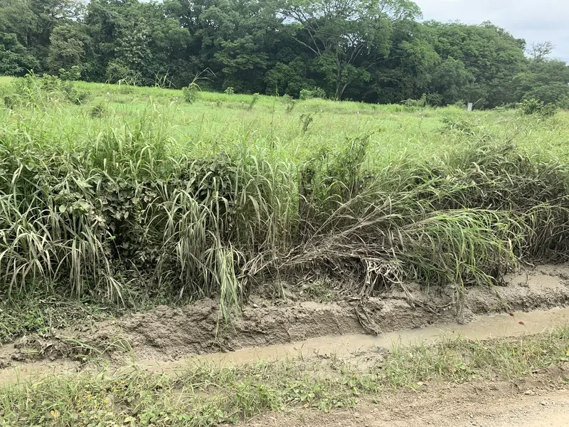 Land For Sale in San Jose De Pinilla — photo 5