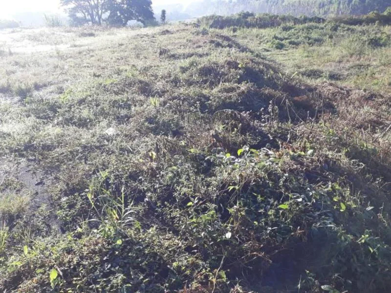 Land For Sale in Uruca — photo 4