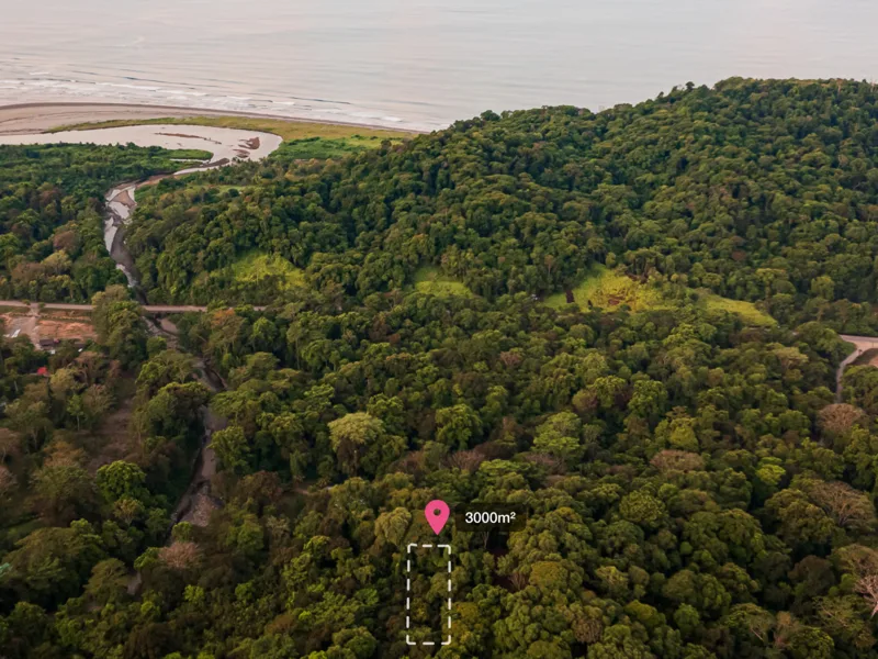 Land For Sale in Ojochal