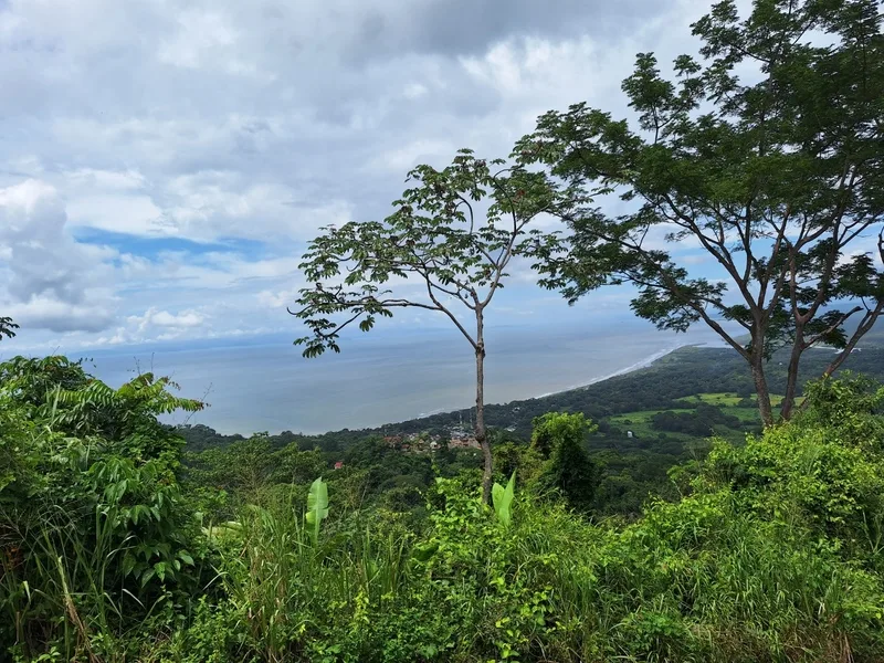 Land For Sale in Tarcoles