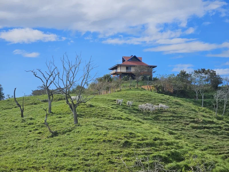 4 Bed Land For Sale in Alajuela