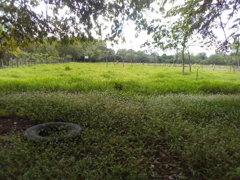 Land For Sale in Nicoya Peninsula